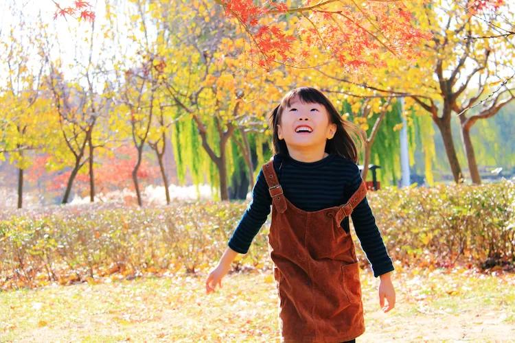 尼康入门单反,单反快速入门攻略