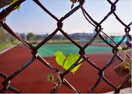 江苏省37所高校,四十六所高校