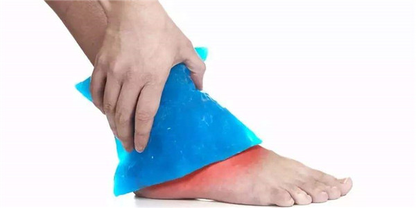 中国海关发现毒蜘蛛,安检发现毒蜘蛛