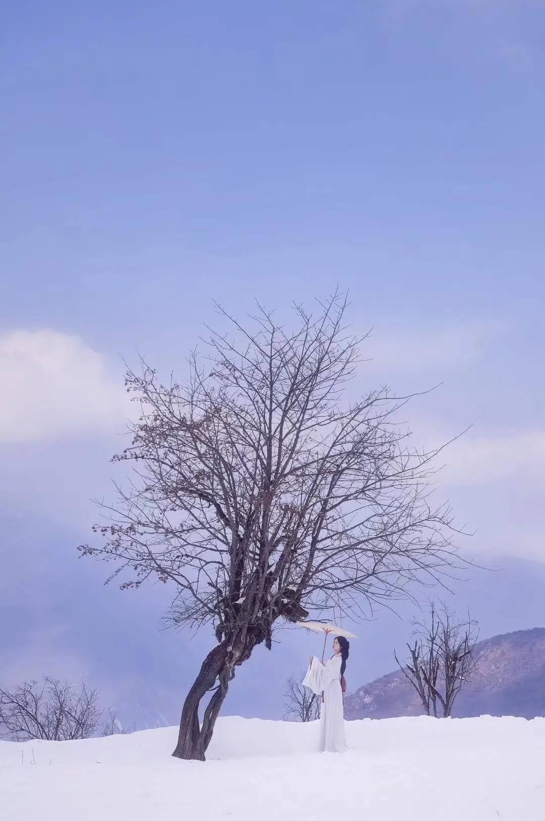 关于夏天很热的诗句解析,一到六年级描写夏天的诗句有哪些