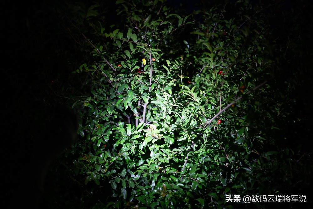 小有小的便利XTART2TypeC迷你可充磁吸式手电轻体验