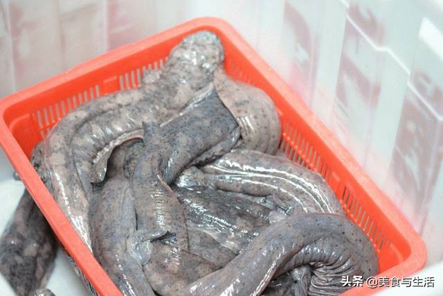 中国十大顶级大型海鲜市场在哪里,全国各大海鲜市场现状