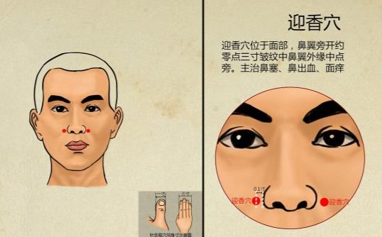 打喷嚏鼻子堵到哪步了,打喷嚏鼻炎怎么缓解