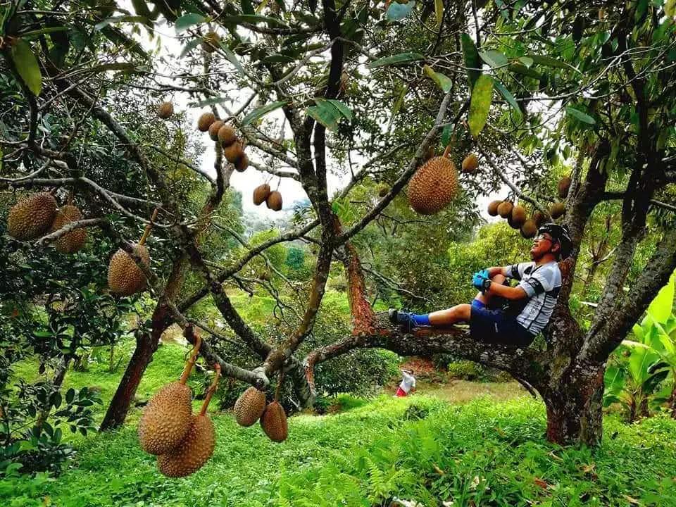 男孩子骑自行车的好处和坏处,经常骑自行车的好处和坏处