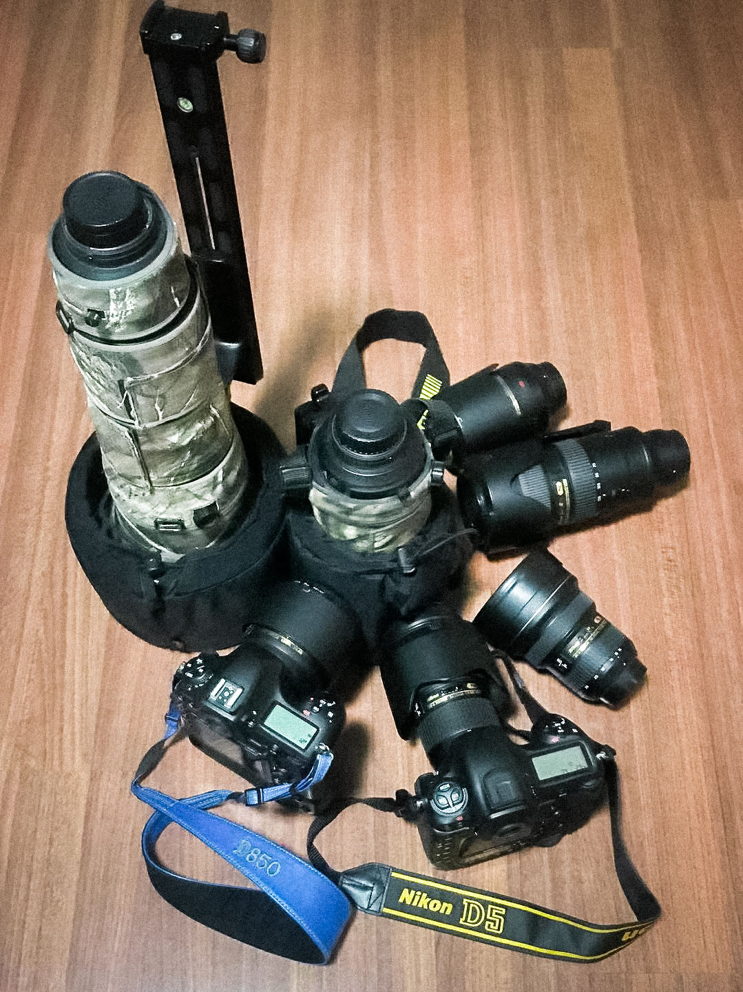 记录甜美的人像尼康z6实拍体验,尼康z6ii拍鸟怎么样