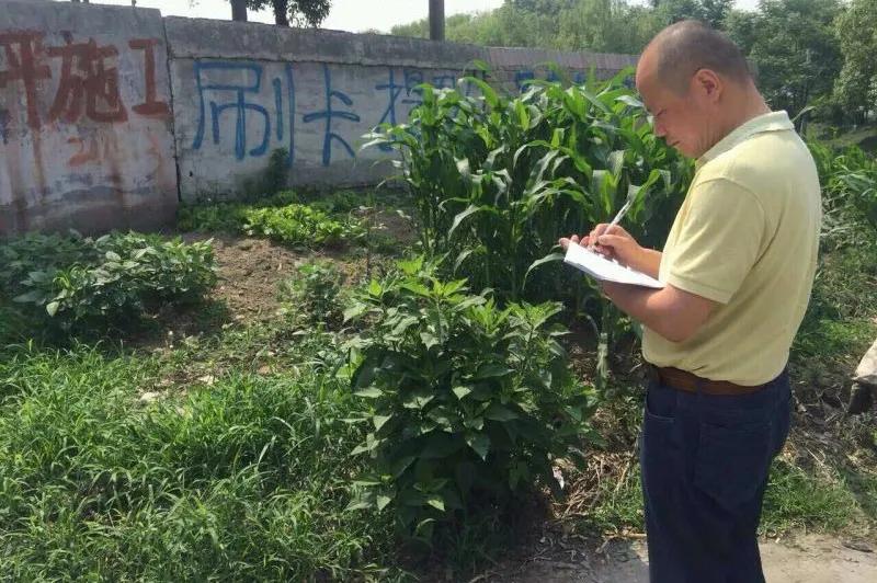 余杭区抓好“三个融合”高起点高标准推进“四好农村路”建设