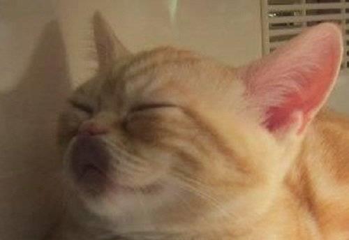 跟钢铁直男的尬聊,和钢铁直男吵架的感受