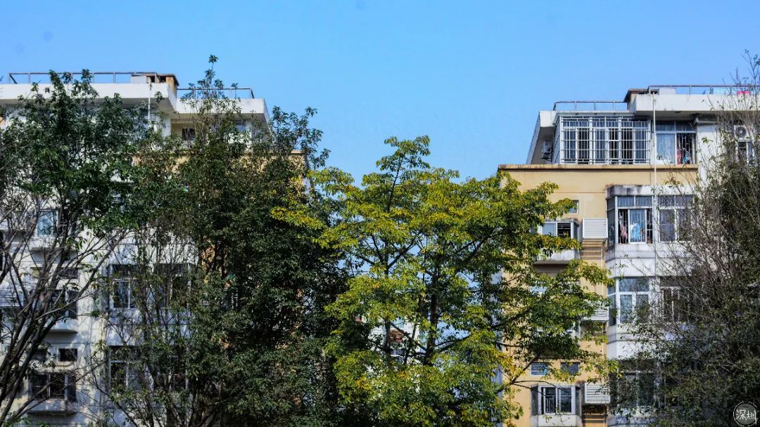 莲花村是哪个省的,中国莲花村排名