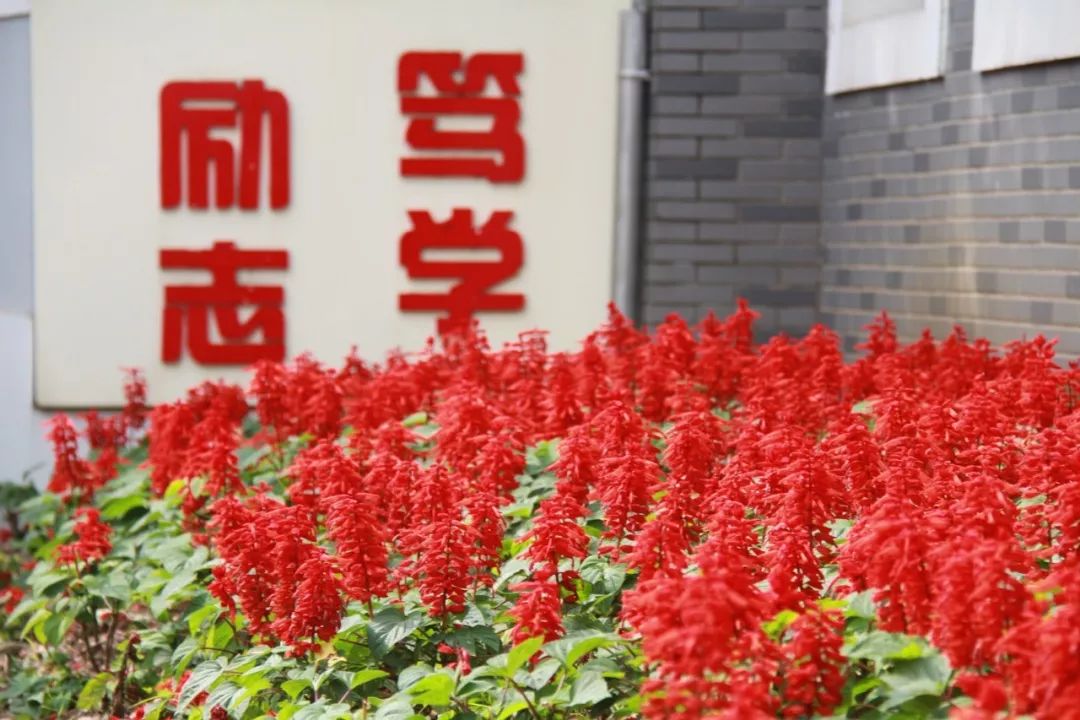 【秋色】一起逛青浦的校园，在书香中邂逅最美的秋