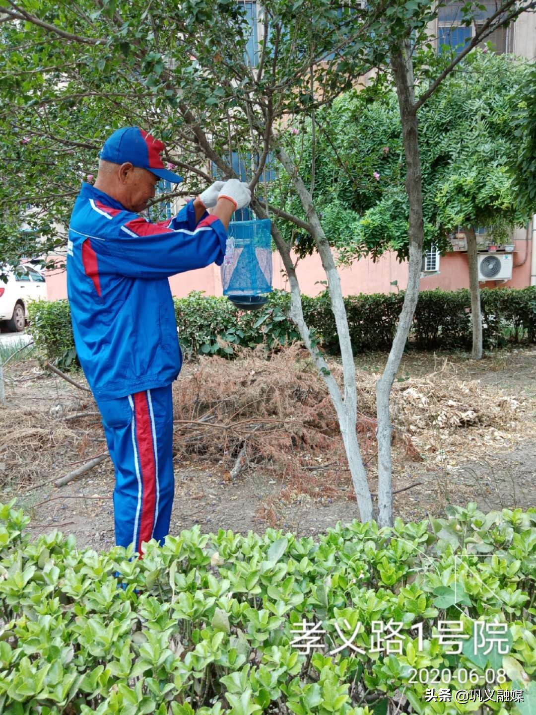 政府“买单”请专业队伍“除四害”