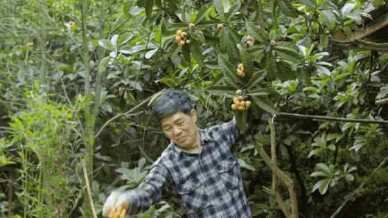 疫情解封后报复性消费的行业,疫情之后会出现消费狂潮么