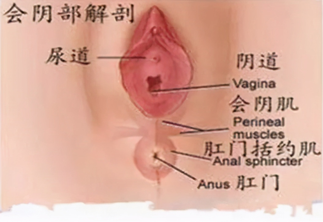 顺产侧切会不会留下后遗症?真相是?