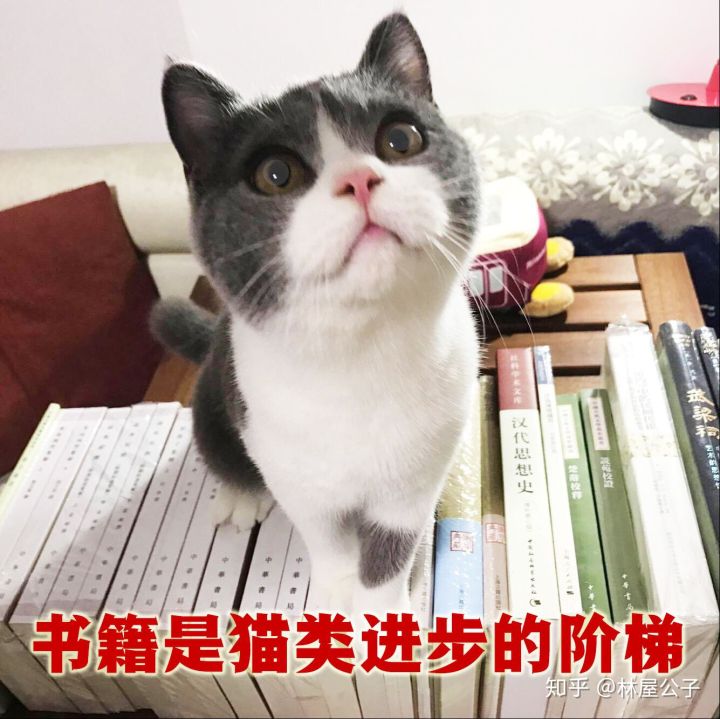 怎样选择国学经典书籍,如何选择国学方面的书