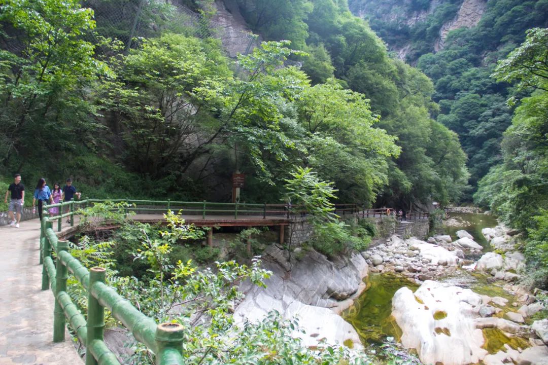 索道9公里,太平山索道80一个来回多久