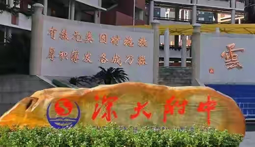 第二届深圳十大名校中考成绩,深圳23年中考成绩各个学校排名