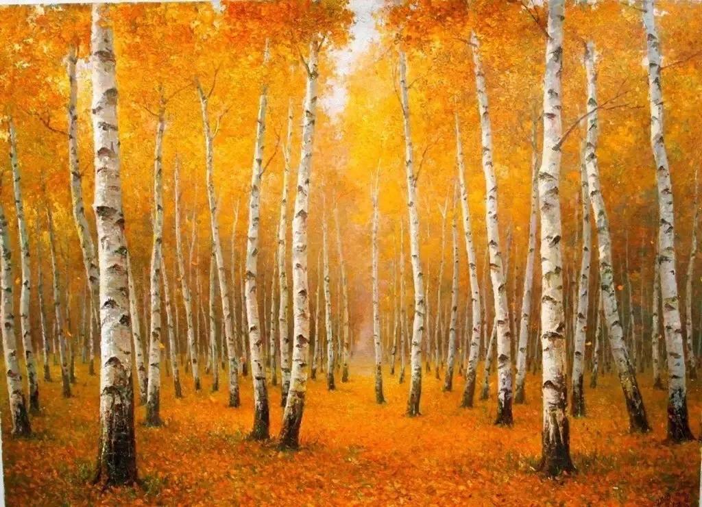 带你去看浩瀚宇宙,带你去内蒙古赤峰