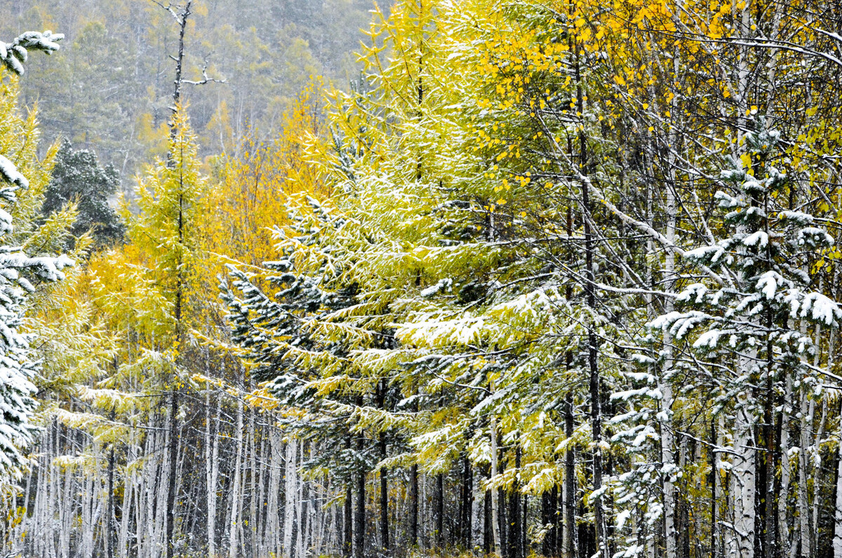 着凉了怎么办恢复,着凉了怎么办头疼头晕