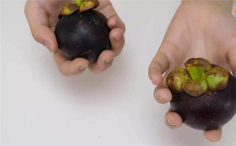 山竹是买大果还是小果好,山竹怎么挑又大又甜没有烂的