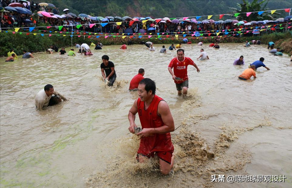 美丽乡村的盈利项目,美丽乡村项目的成功案例