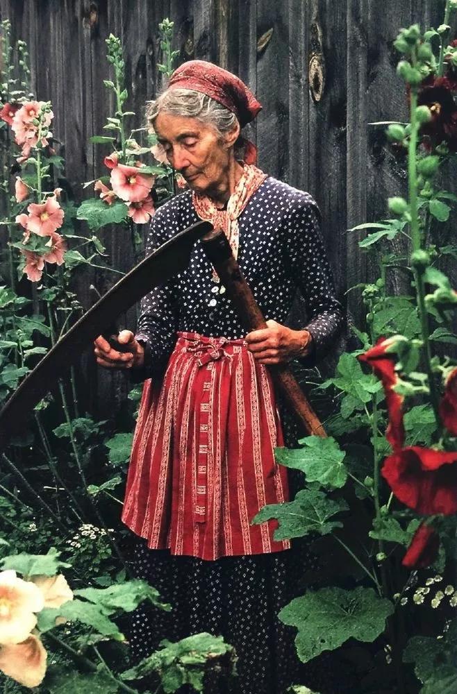 高级英式婚礼视频,法式花园风格婚礼