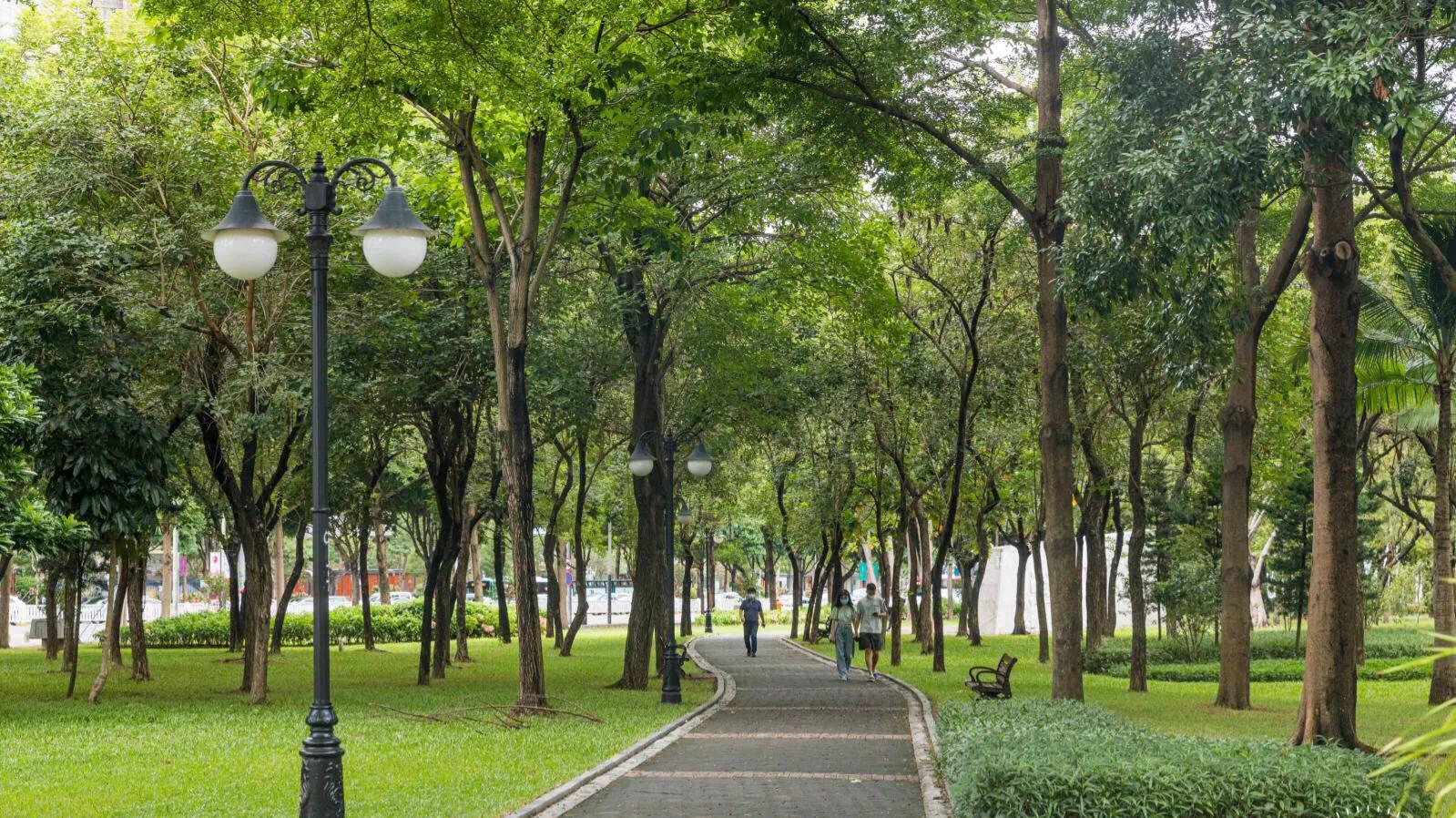 深圳花海公园推荐景点有哪些,深圳花海公园地址在哪里