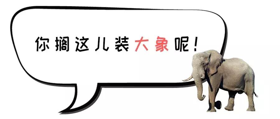 各地骂人的方言,各地骂人方言大集合