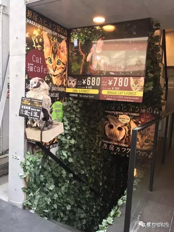 东京六本木地图,东京六本木街区