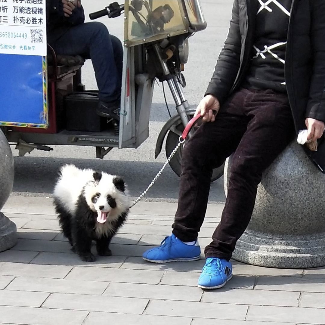 正南齐北是成都话吗,正南齐北的由来