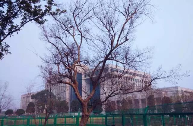 坐拥神仙颜值!原来,这就是中南大学的最美校花!