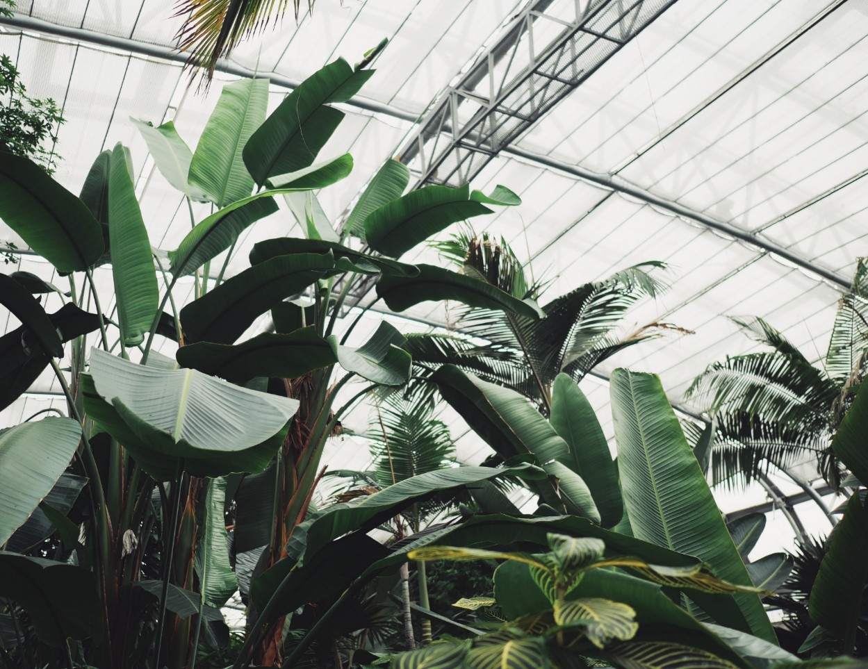 韩雪明星推荐好物,韩雪好物