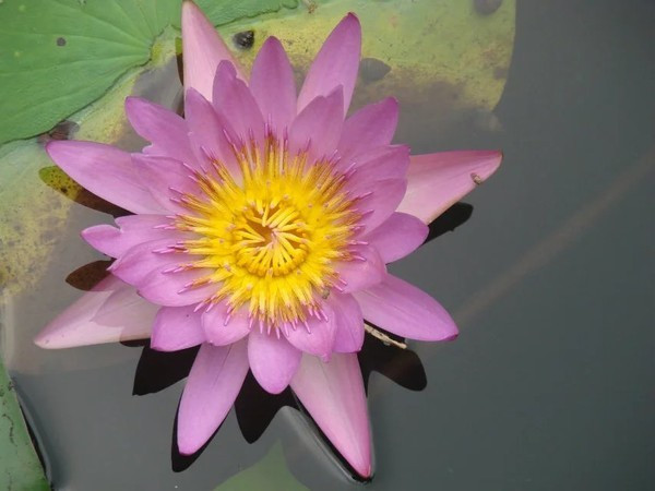 一个人在海边玩一天,一个人在海边怎么玩