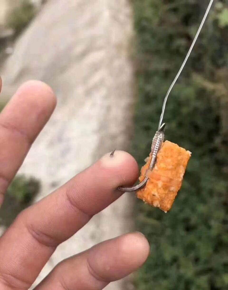 中鱼率高的技巧,中鱼后的5大技巧