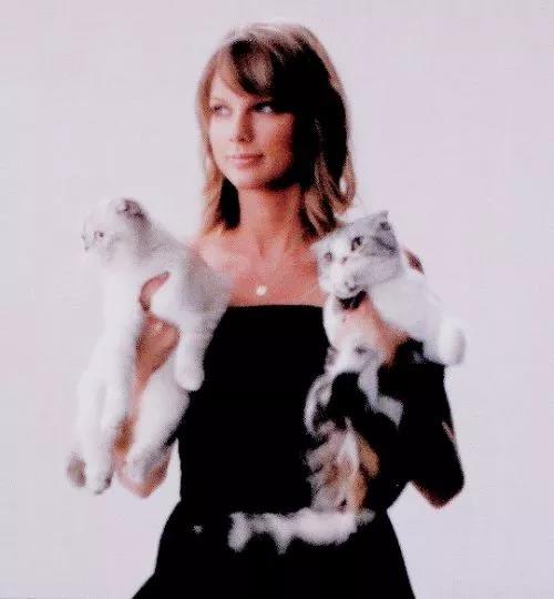 「JALOUSE」有一说一,我确实馋他们的身子