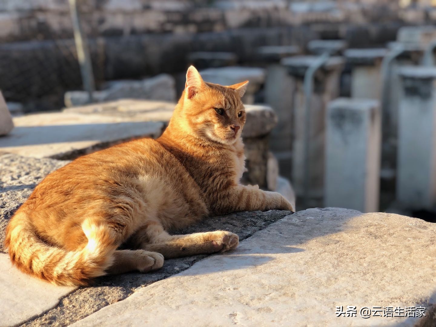 远走土耳其，我在星月之国上天入海（三）