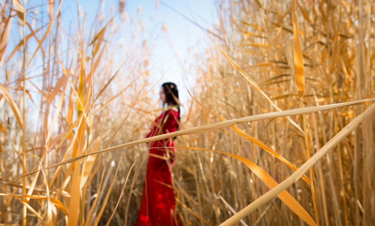 邓玉明评论的作品,邓玉明评价最美乡村