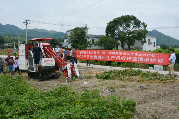 科技助力大棚农民致富,科技助农柑橘丰收