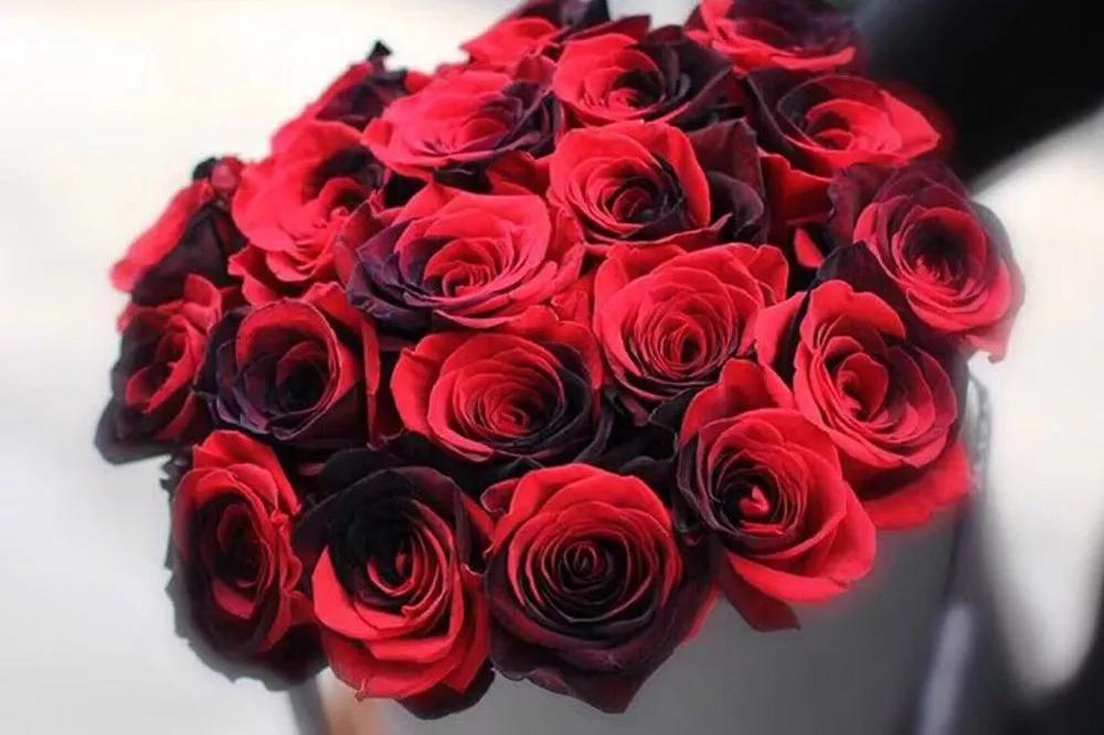 花店必备的5款玫瑰,花店常用的10款玫瑰花是哪些品种