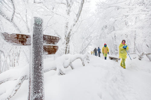 寒潮预警零下6度,为什么冻伤急救不能烤火或搓雪