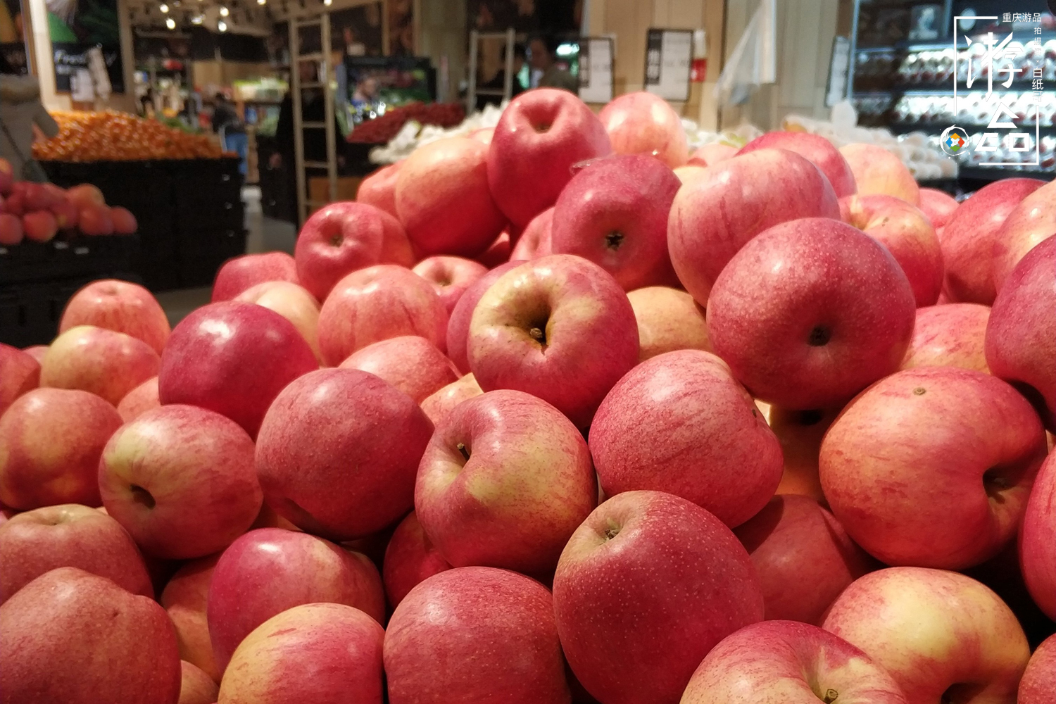 冬至吃饺子温馨时刻,冬至又该吃饺子了