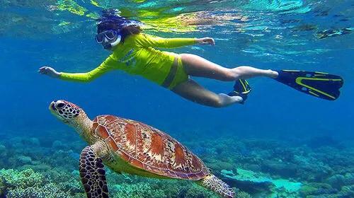 泰国普吉岛十大潜水景点排名第一,泰国斯米兰潜水推荐