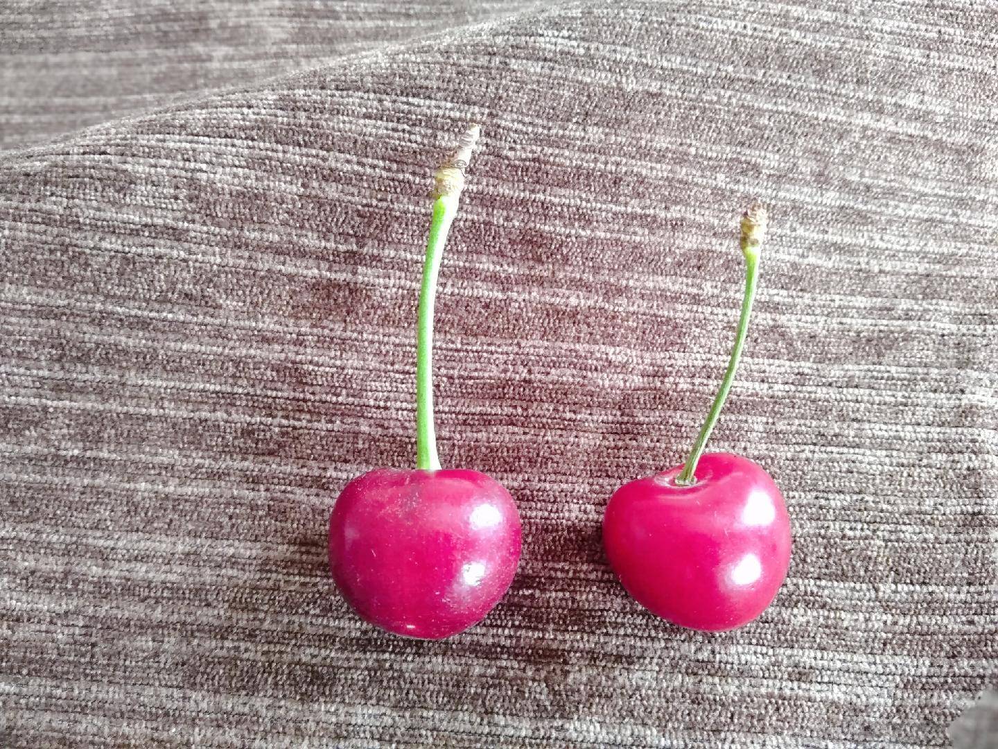 10元的鲍鱼能买吗,10元一斤的鲍鱼