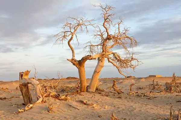 陶冶重庆|511,穿越千年遇见你!