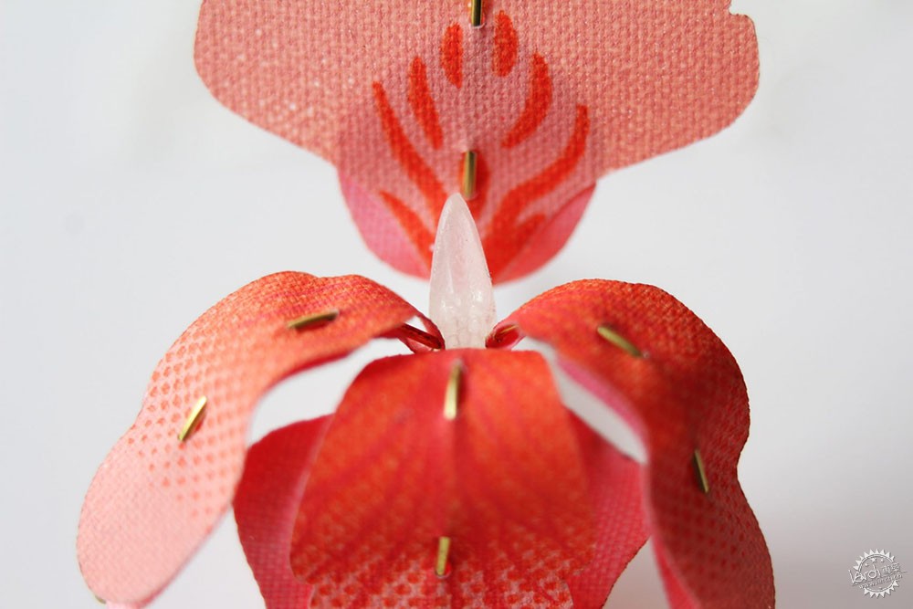 面对城市里日益减少的昆虫,设计师能做些什么?