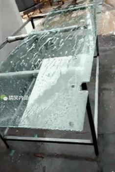 搞笑动图gif图片哪里下载,搞笑动图gif狗