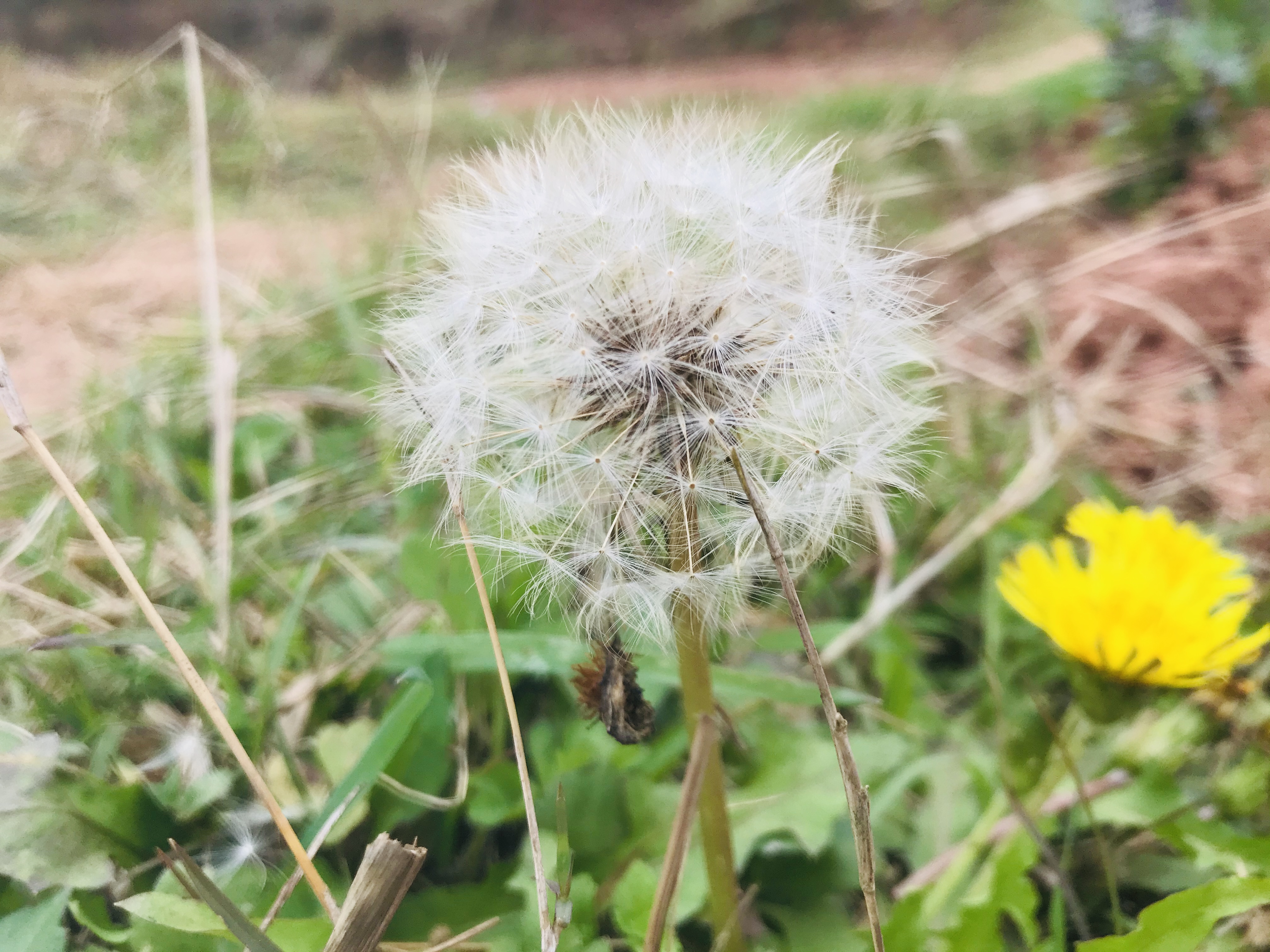 小县城做点什么小生意一年赚10万,在农村如何做到年入10万