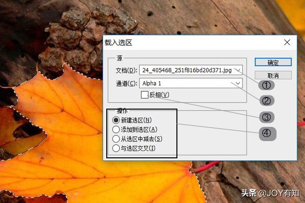 photoshop选区处理过程中的作用,photoshop怎么载入选区