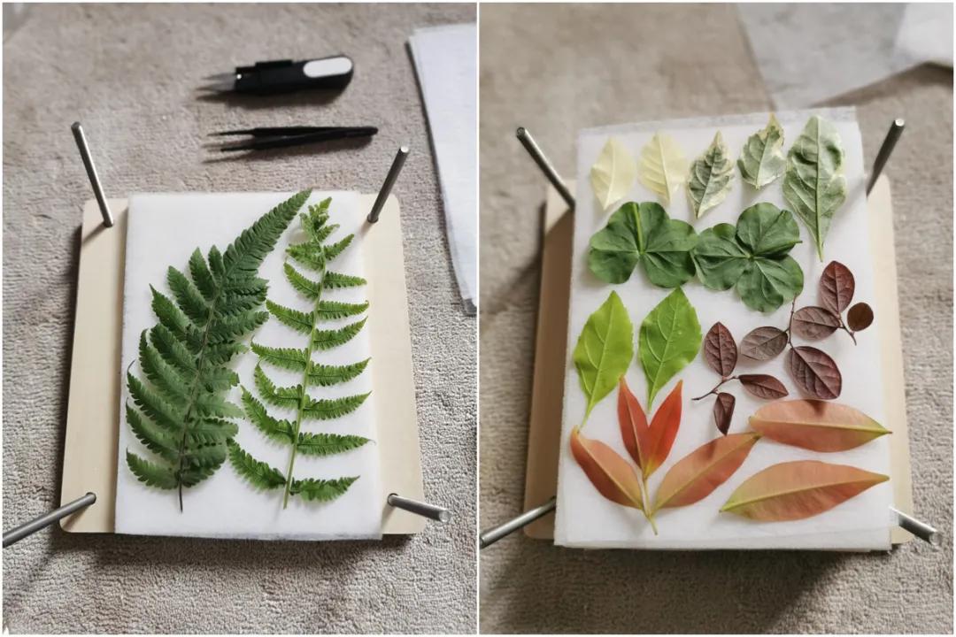 周末在家有什么好玩的亲子游戏,在家也能玩的亲子游戏6-7