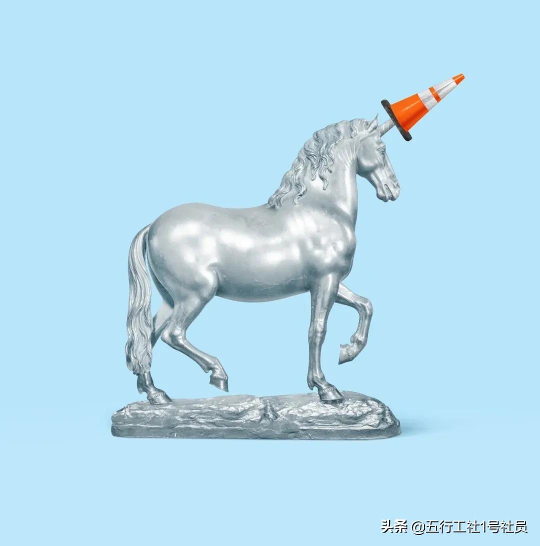 纽约时报年度最佳童书绘本推荐,纽约时报年度最佳图书