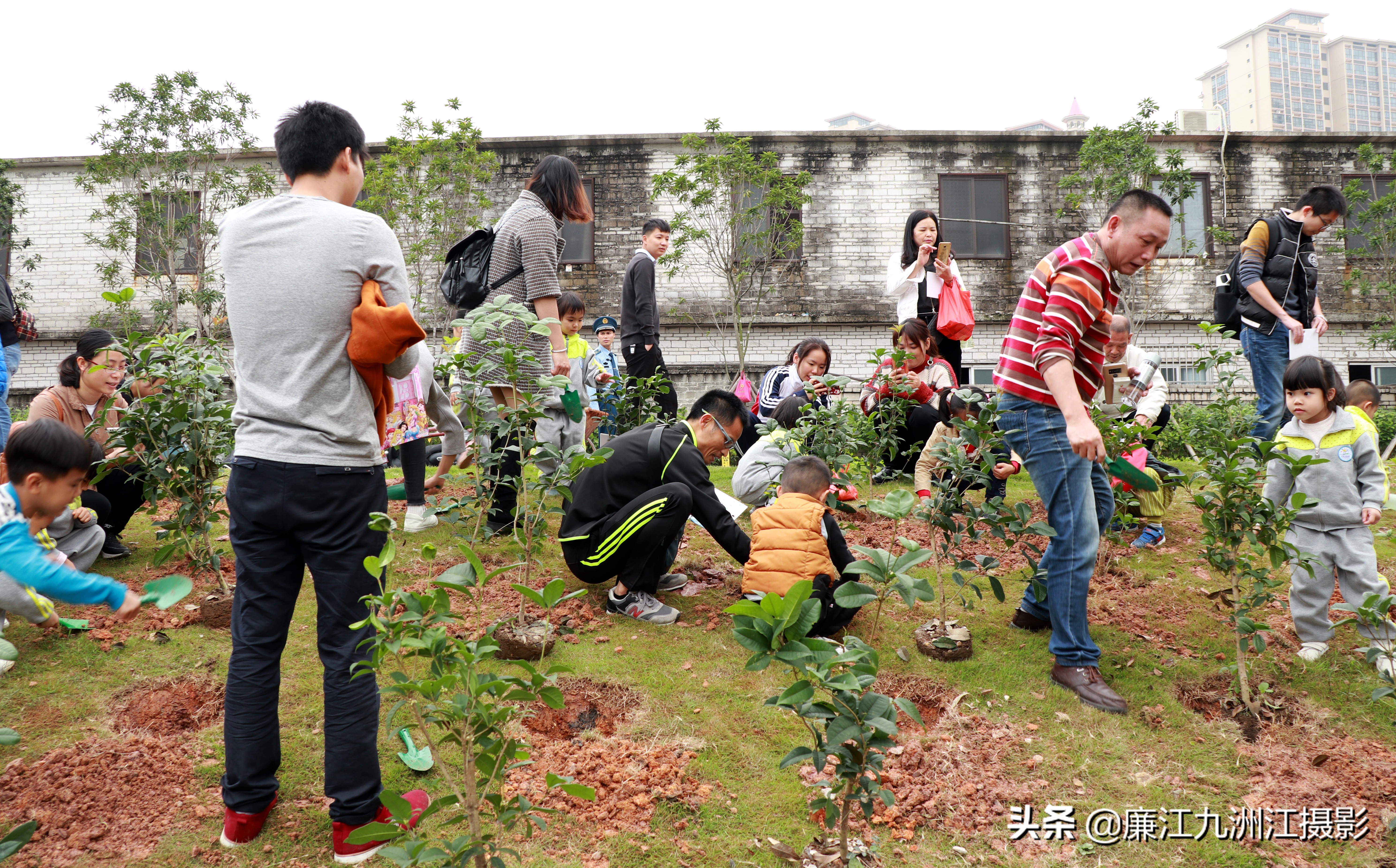 种下希望让梦想发芽舞蹈,种下希望让梦想发芽