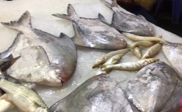 为什么湛江物价比中山贵,湛江是个低收入高消费的城市